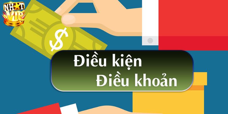 Lý do nên nắm rõ các điều khoản và điều kiện Nhatvip